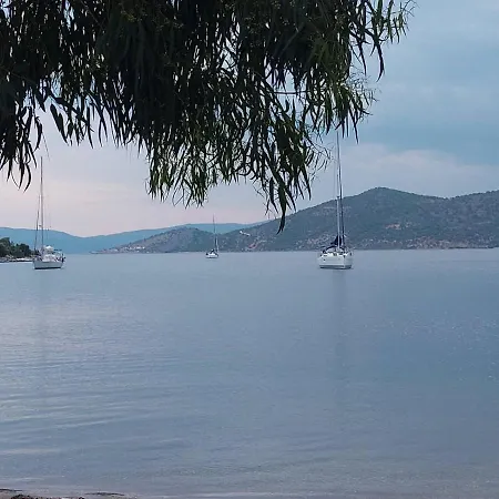 Vitamin Sea House Appartement