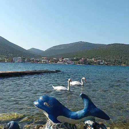 Vitamin Sea House Panagia (Karystos, Evia)